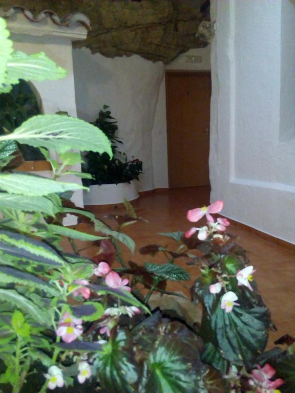 Hostal Batato Vejer de la Frontera Exteriér fotografie