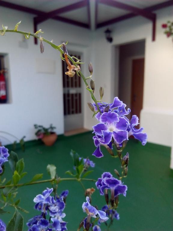Hostal Batato Vejer de la Frontera Exteriér fotografie