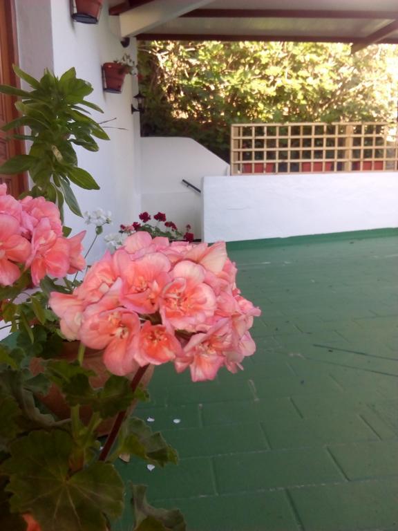 Hostal Batato Vejer de la Frontera Exteriér fotografie