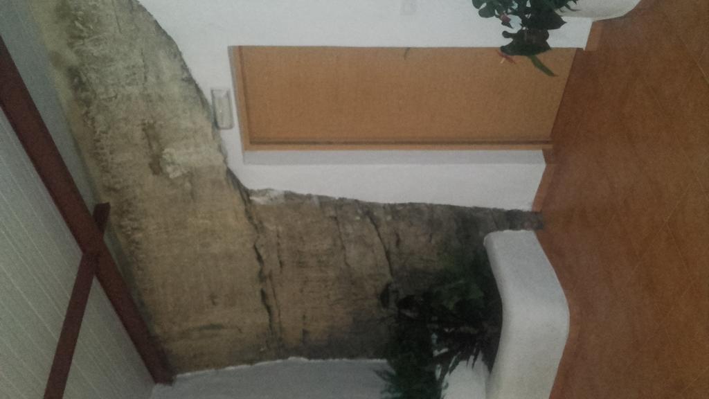Hostal Batato Vejer de la Frontera Exteriér fotografie